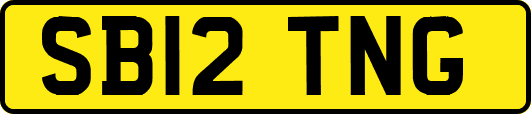 SB12TNG