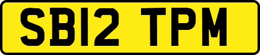 SB12TPM
