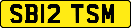 SB12TSM
