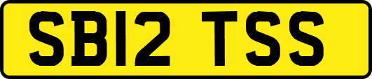 SB12TSS