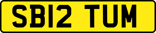 SB12TUM