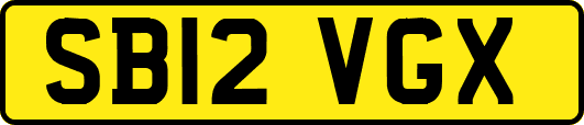 SB12VGX