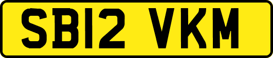 SB12VKM