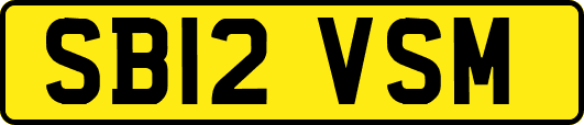 SB12VSM