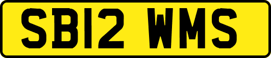 SB12WMS