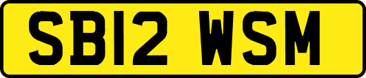 SB12WSM