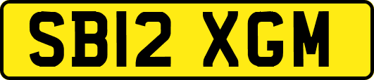 SB12XGM