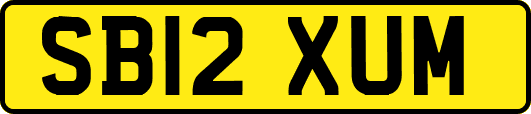 SB12XUM