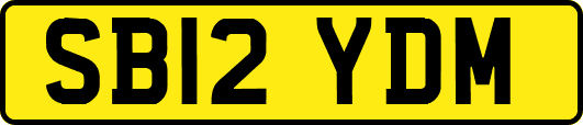 SB12YDM