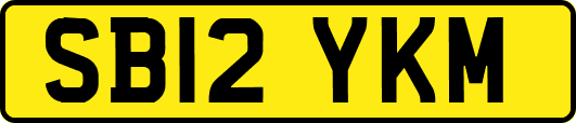 SB12YKM