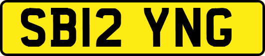 SB12YNG