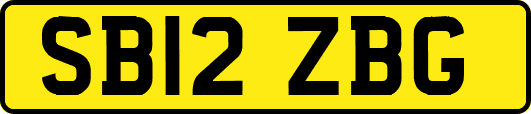 SB12ZBG