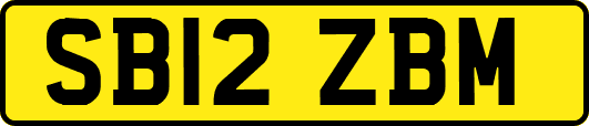 SB12ZBM