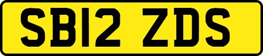 SB12ZDS
