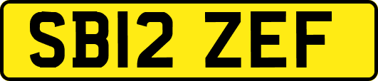 SB12ZEF