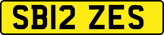 SB12ZES