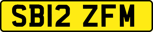 SB12ZFM
