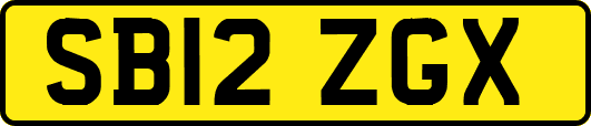 SB12ZGX
