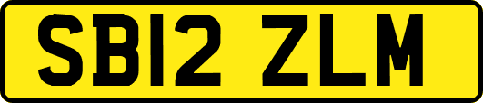 SB12ZLM