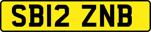 SB12ZNB