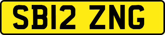 SB12ZNG