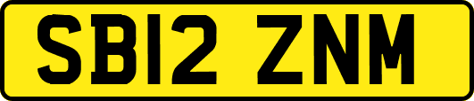 SB12ZNM