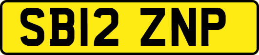 SB12ZNP