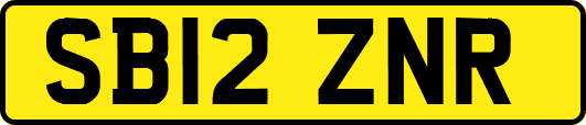 SB12ZNR