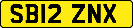 SB12ZNX