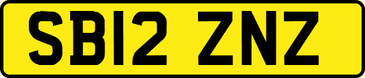 SB12ZNZ