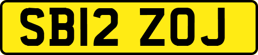SB12ZOJ