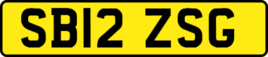 SB12ZSG