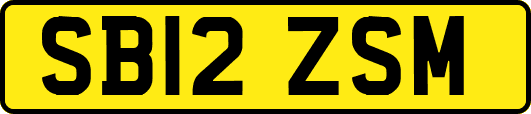 SB12ZSM