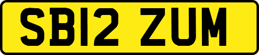 SB12ZUM