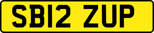 SB12ZUP