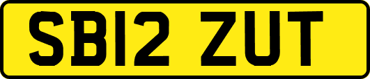 SB12ZUT