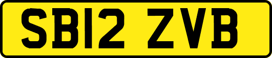 SB12ZVB