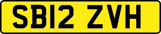 SB12ZVH