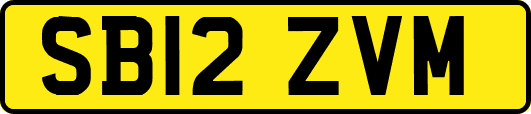 SB12ZVM