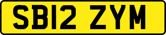 SB12ZYM