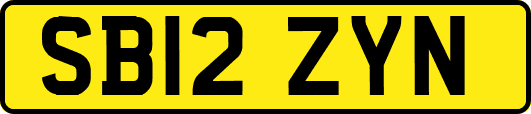 SB12ZYN
