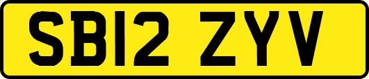 SB12ZYV