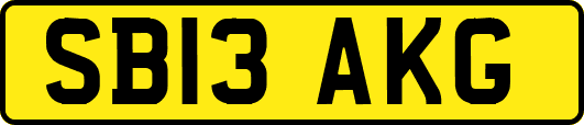 SB13AKG
