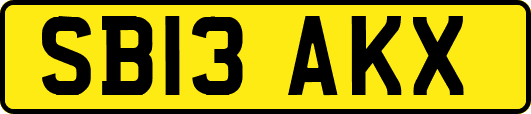 SB13AKX