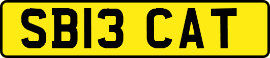 SB13CAT