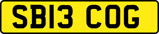 SB13COG