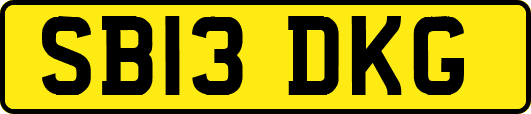 SB13DKG