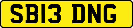 SB13DNG