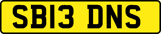 SB13DNS