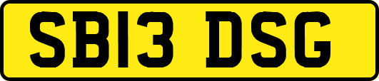SB13DSG